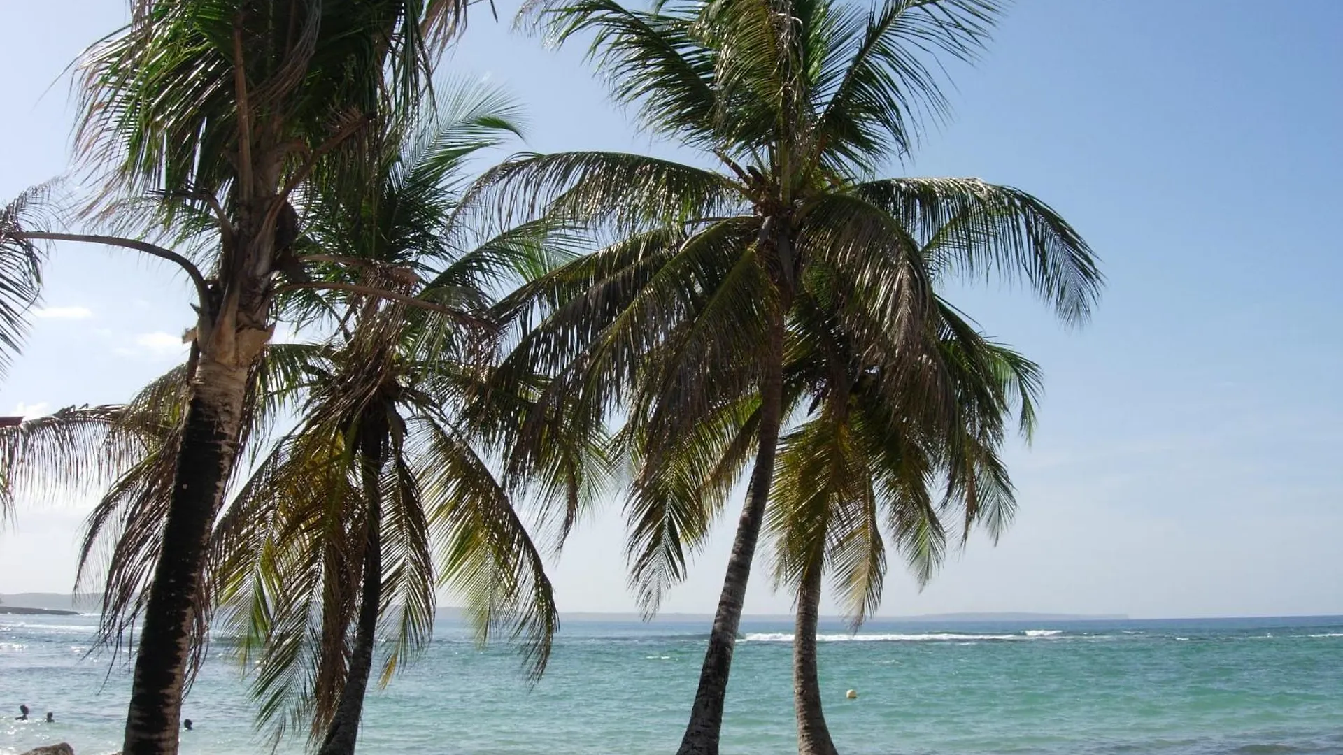Appartement A 15Min De Belles Plages Sainte-Rose